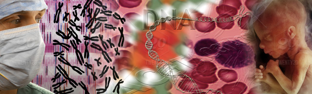 bioetica