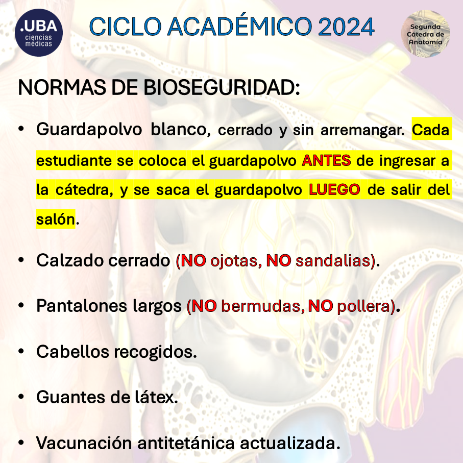 2024-Bioseguridad
