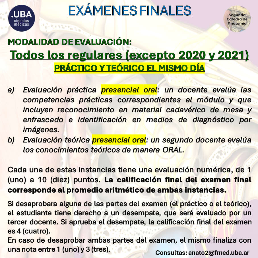 2024-finales - metodologia 1