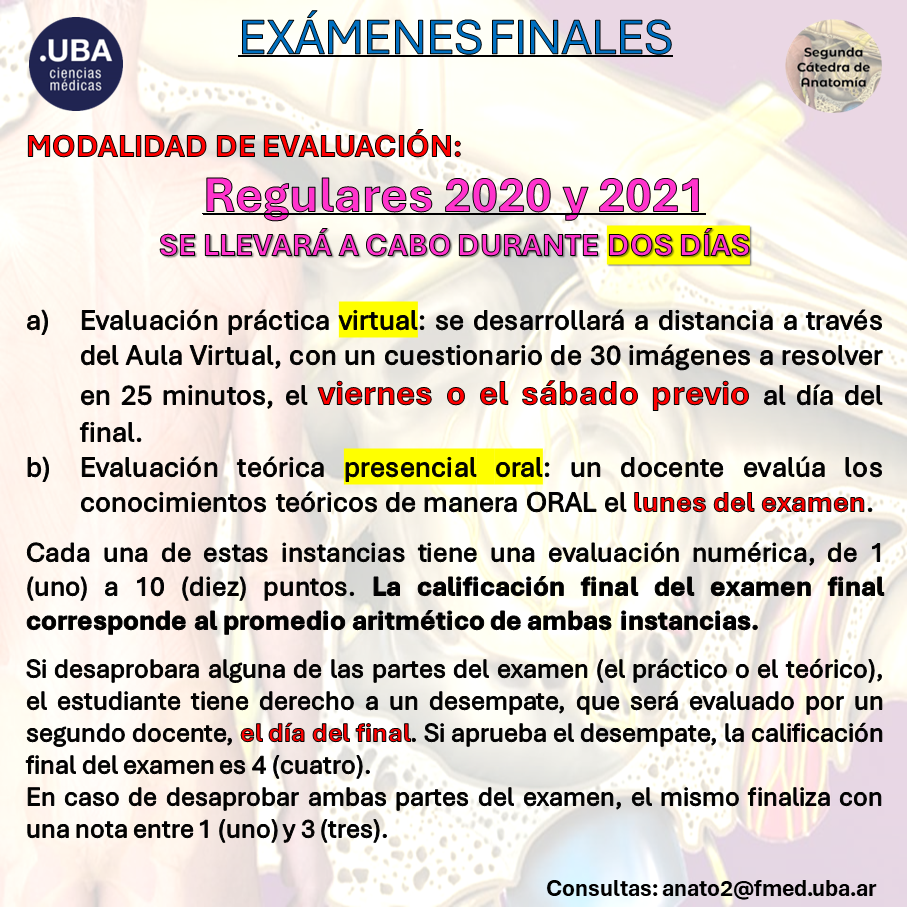 2024-finales - metodologia 2