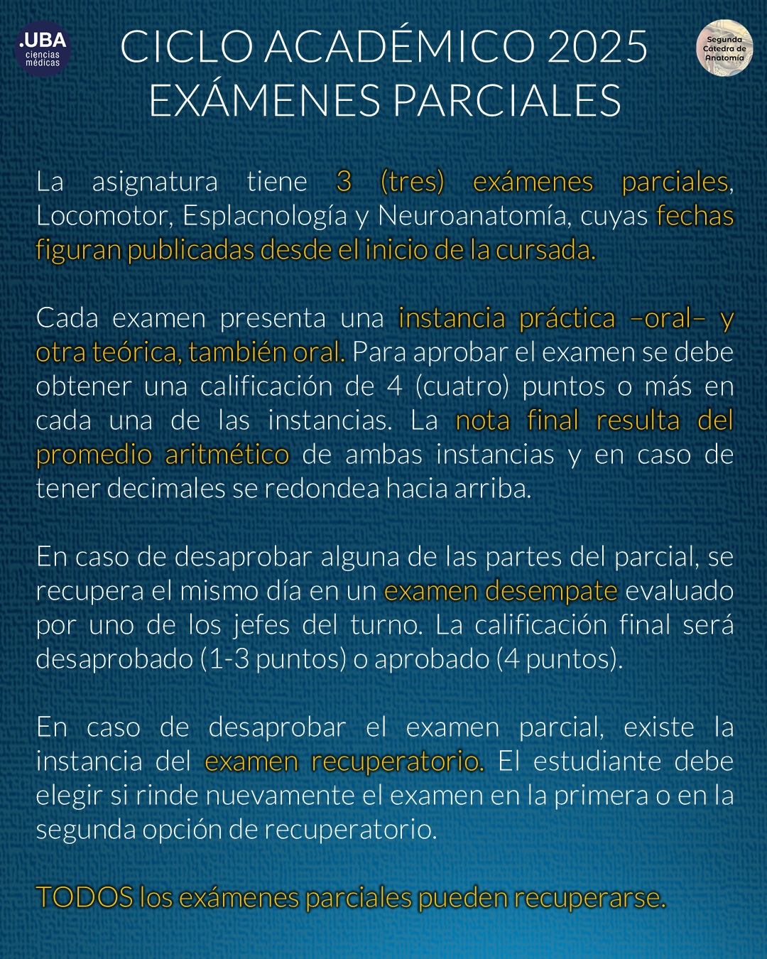 parciales-1