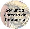Logo Catedra