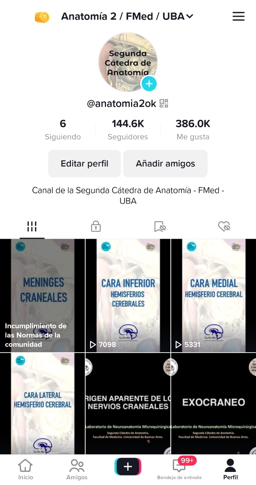 TikTok-Anatomia2ok