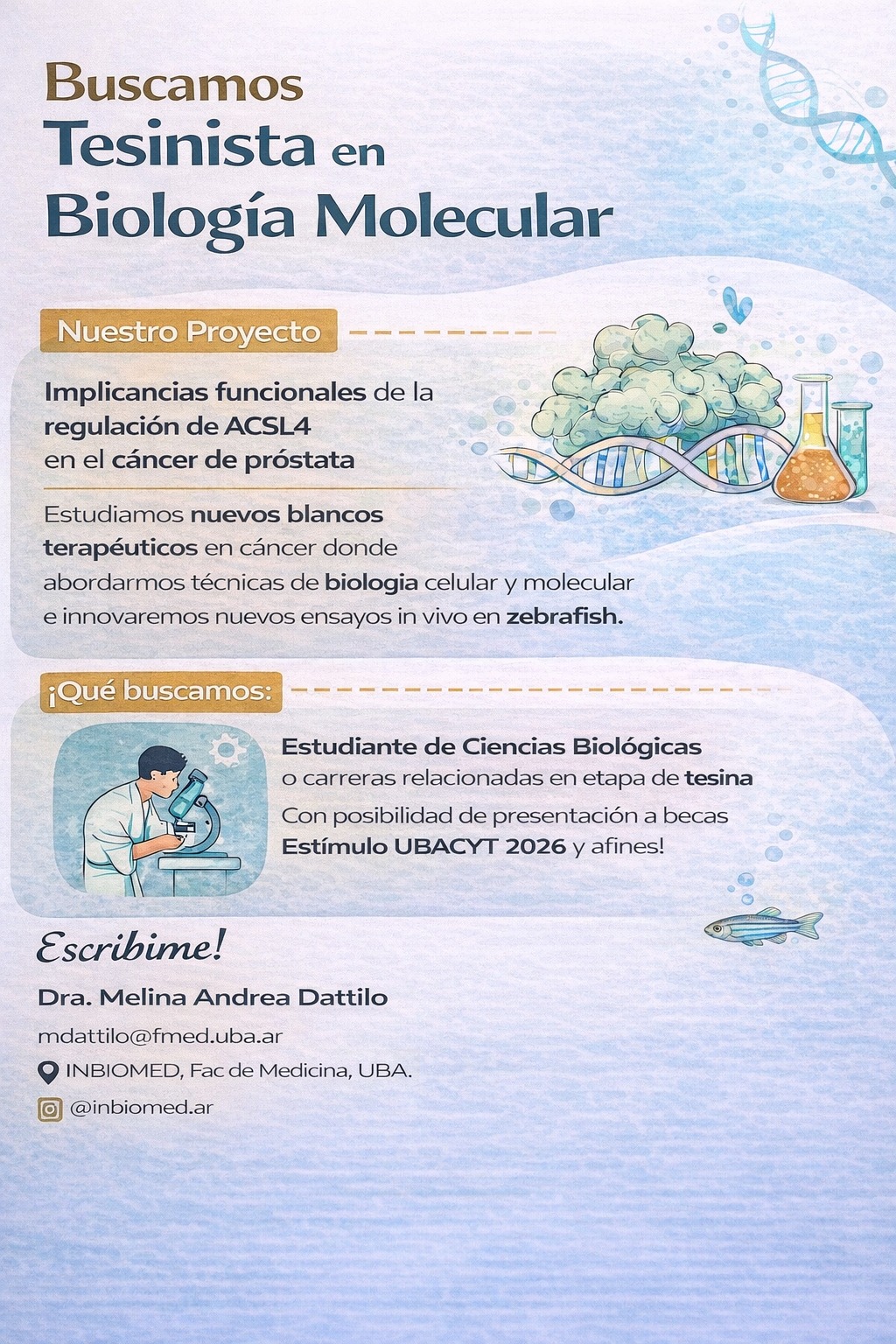 Nueva Búsqueda Tesinista